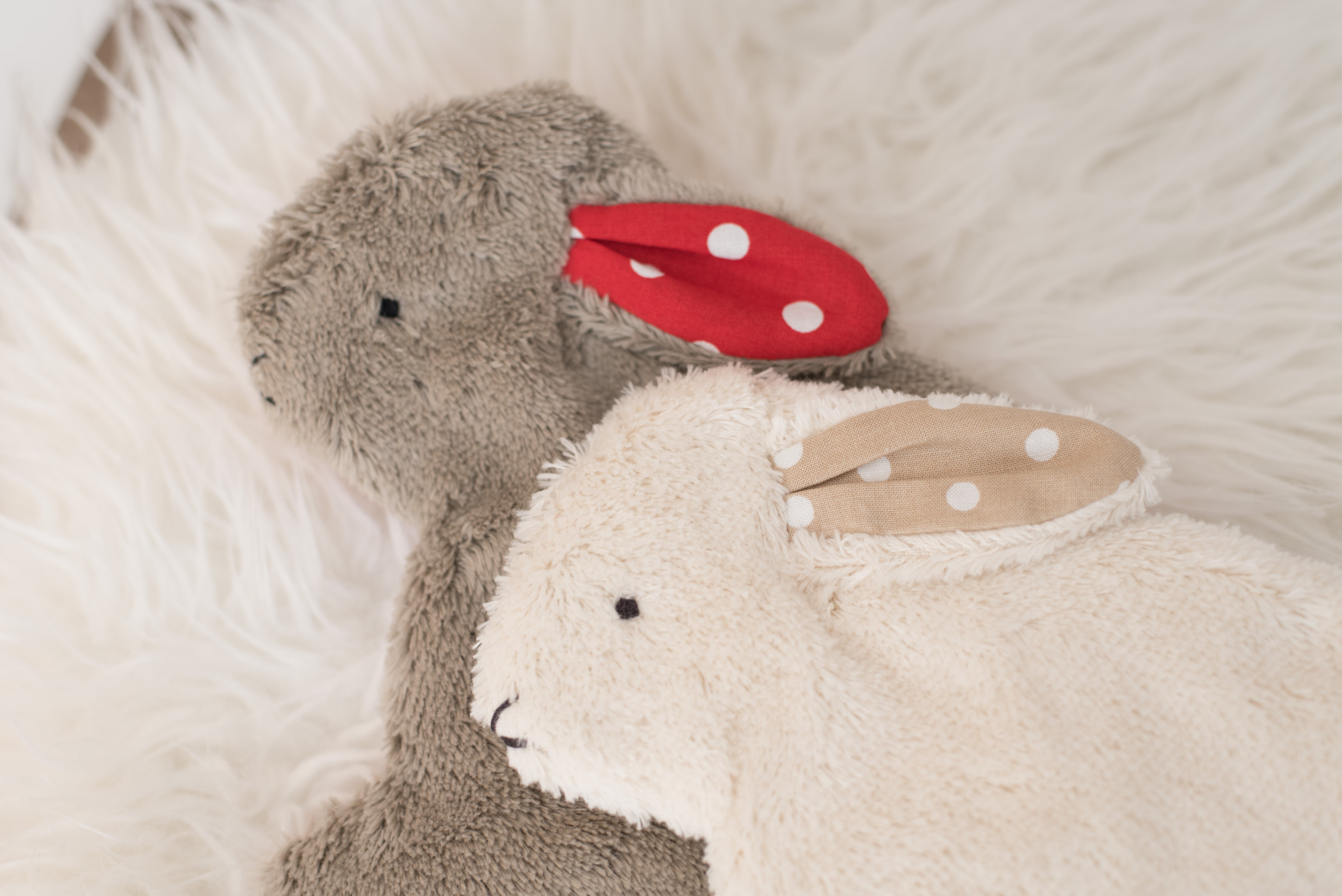 Schmuse-Knister-Tierchen Hennes der Hase - Bio Plüsch