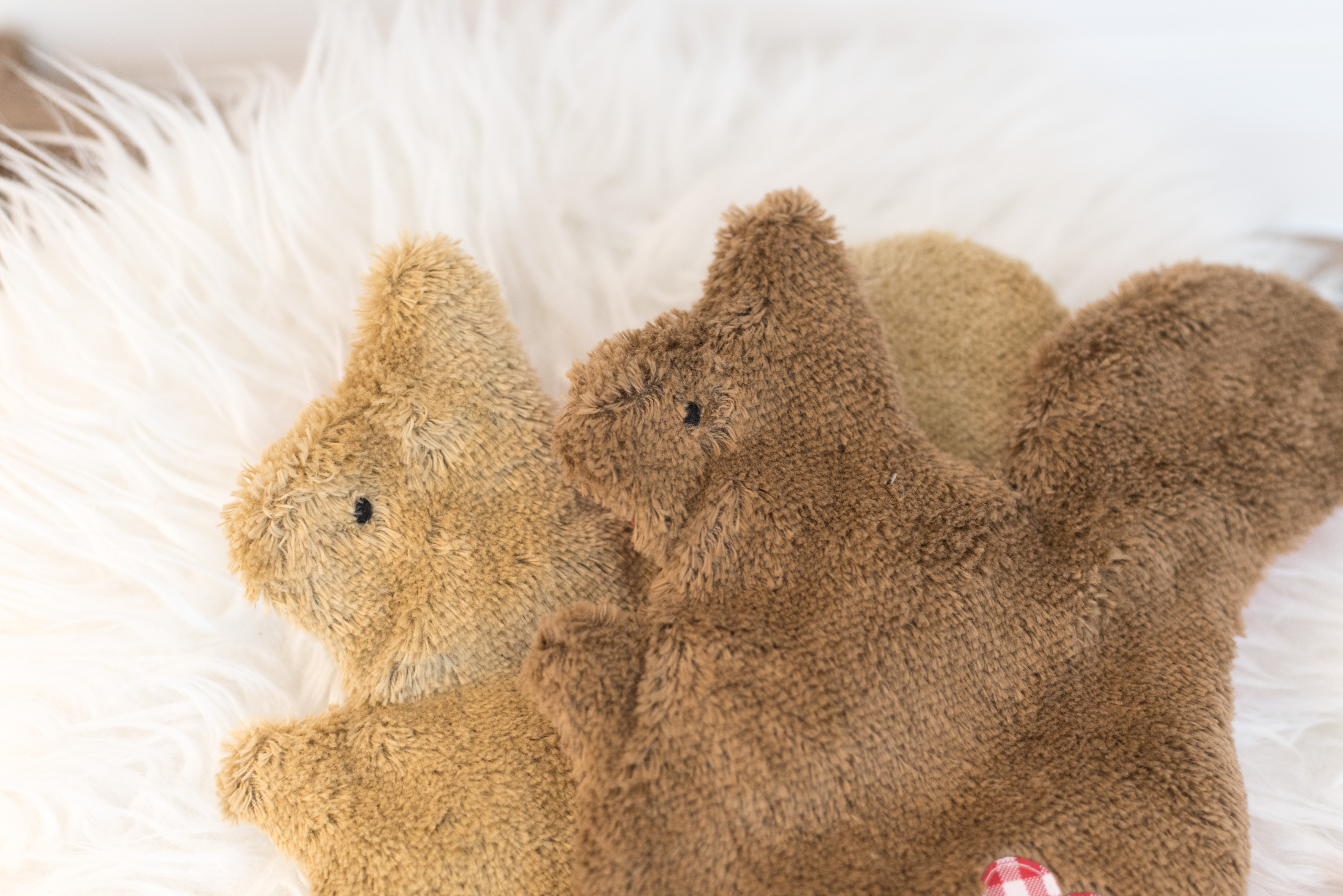 Schmuse-Knister-Tierchen Eichhörnchen Simon - Bio Plüsch